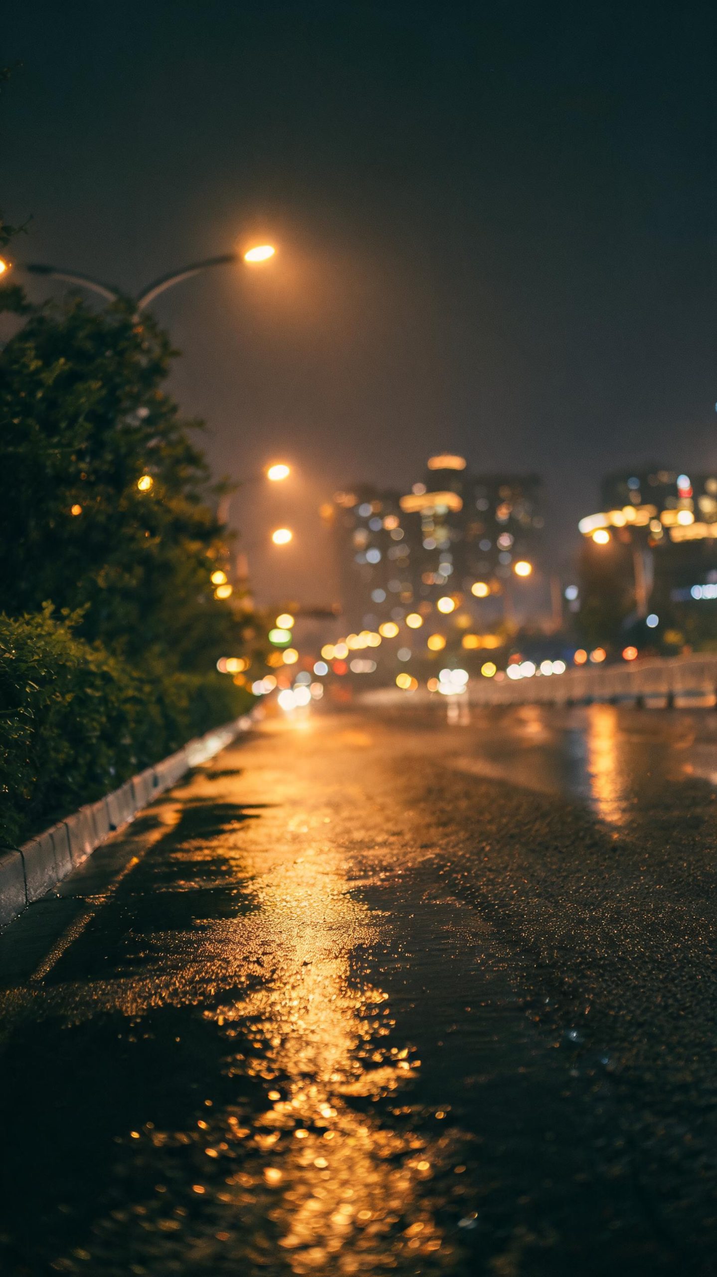夜晚湿润柏油马路反射暖色路灯，城市绿化带夜景氛围